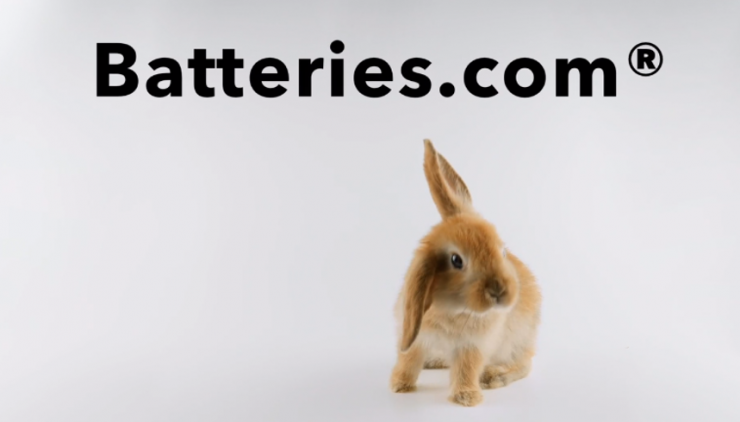 batteries.com domain auction