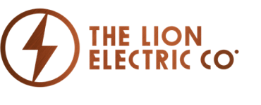 lion electric equity