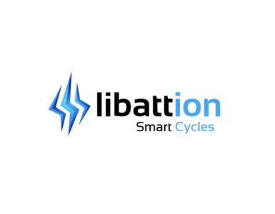 battery energy storage systems libattion
